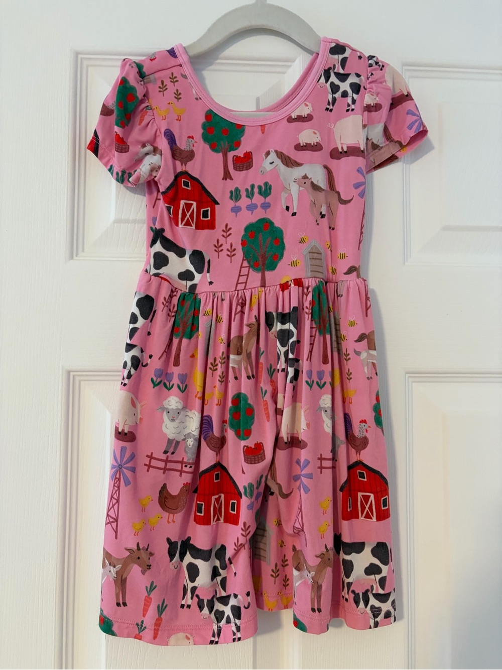 Little Sleepies Farm Fam dress - 3T